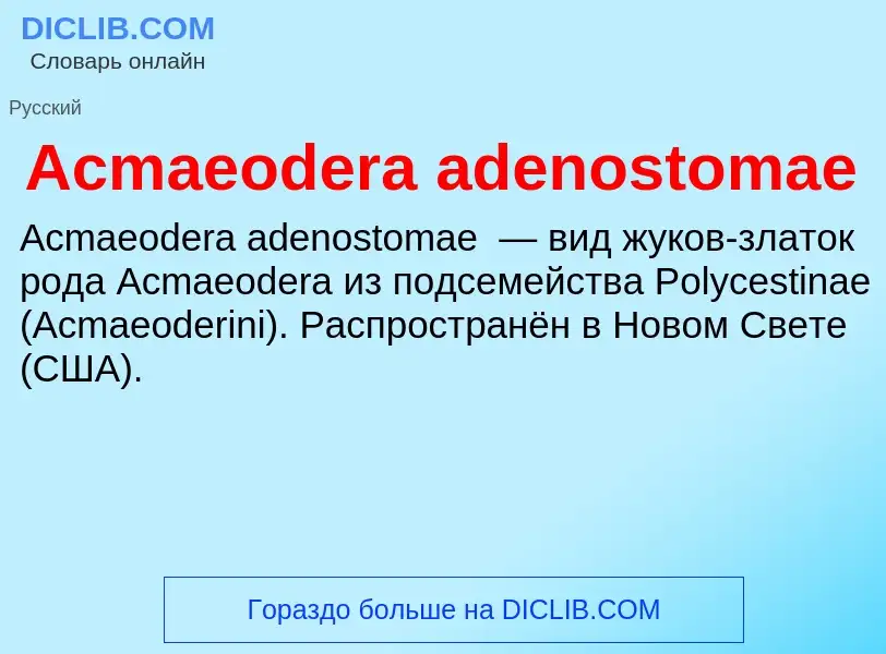 Τι είναι Acmaeodera adenostomae - ορισμός