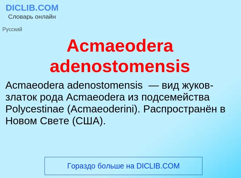 Τι είναι Acmaeodera adenostomensis - ορισμός