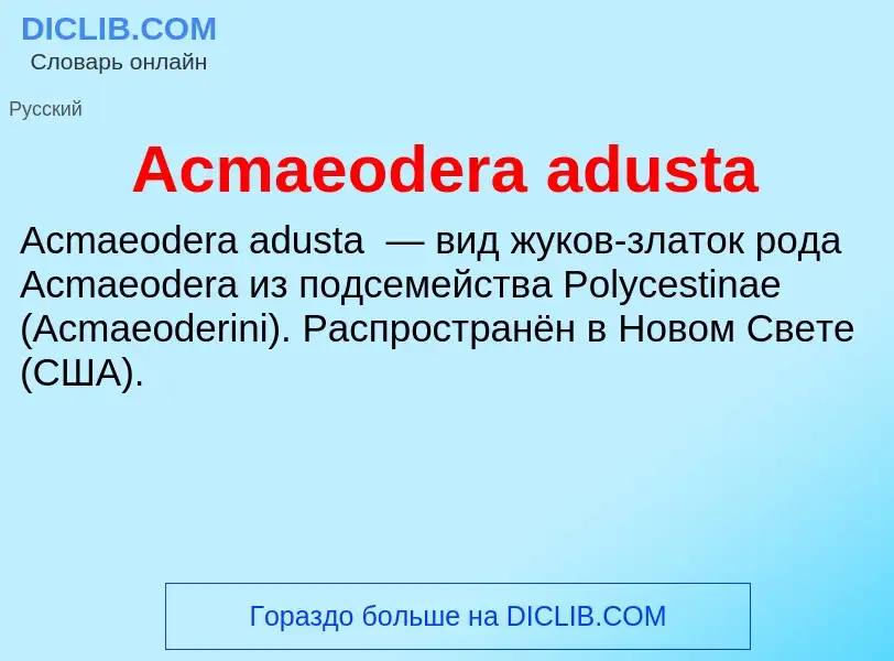 Τι είναι Acmaeodera adusta - ορισμός