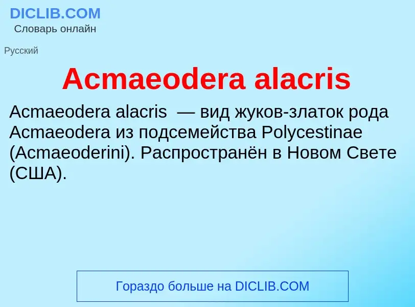 Τι είναι Acmaeodera alacris - ορισμός