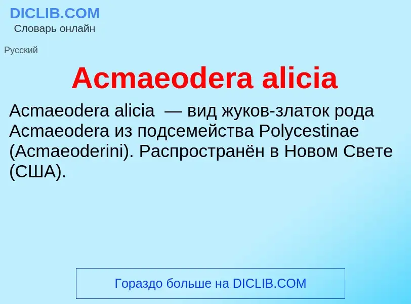 Τι είναι Acmaeodera alicia - ορισμός