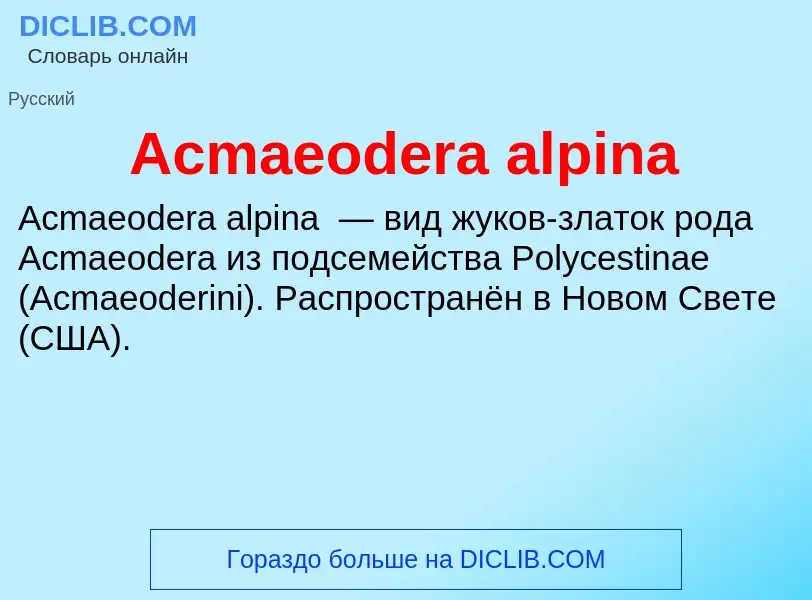 Τι είναι Acmaeodera alpina - ορισμός