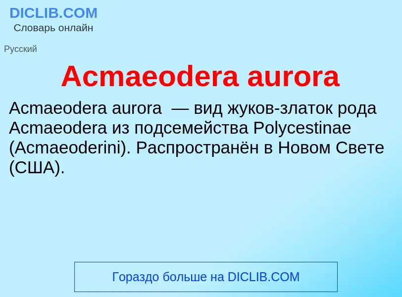 Τι είναι Acmaeodera aurora - ορισμός