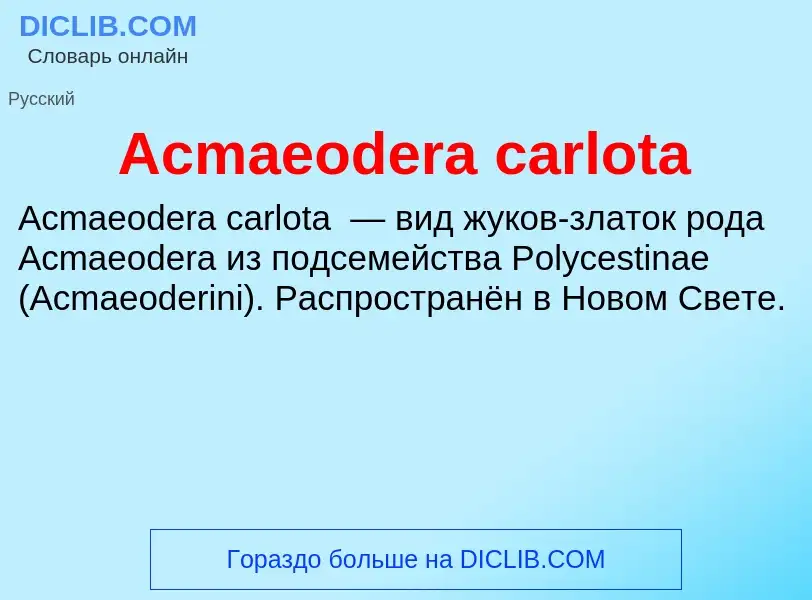 Τι είναι Acmaeodera carlota - ορισμός