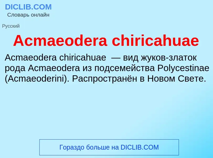 Τι είναι Acmaeodera chiricahuae - ορισμός