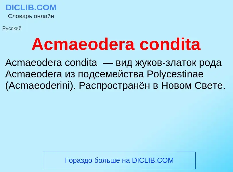 Τι είναι Acmaeodera condita - ορισμός