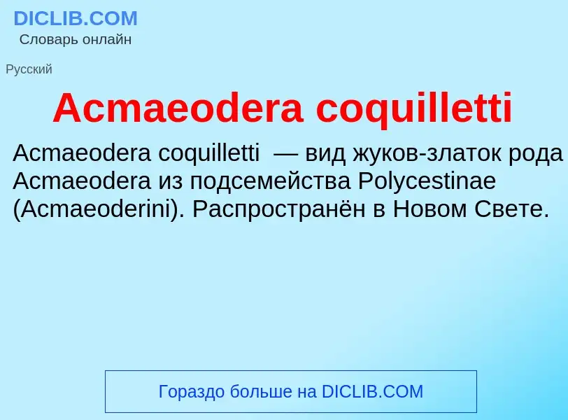 Τι είναι Acmaeodera coquilletti - ορισμός