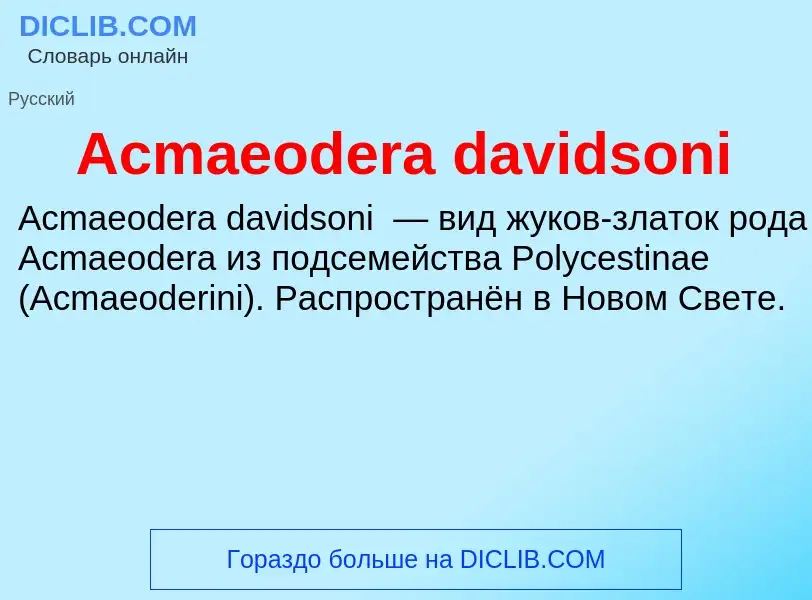 Τι είναι Acmaeodera davidsoni - ορισμός