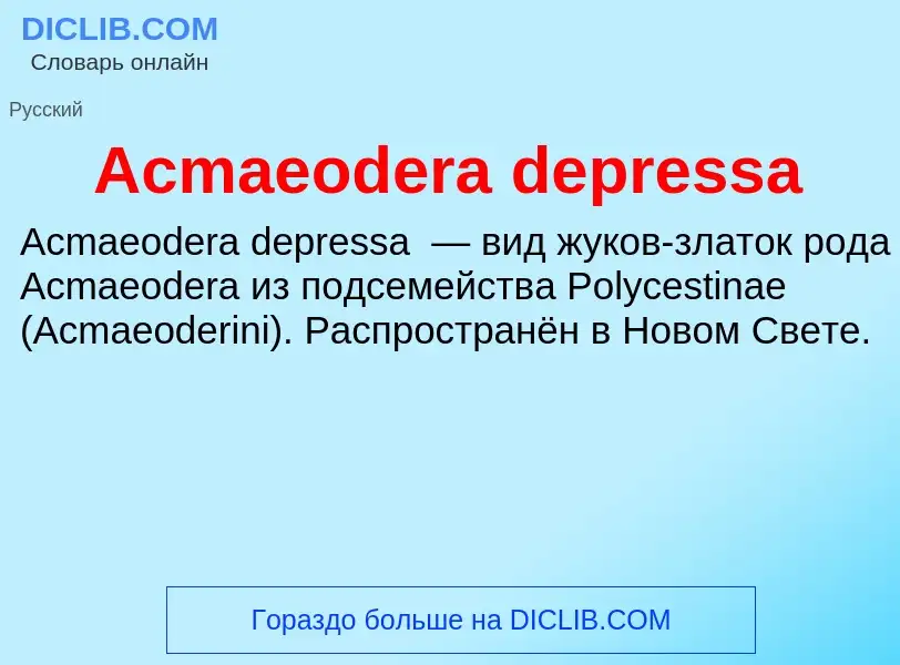 Τι είναι Acmaeodera depressa - ορισμός