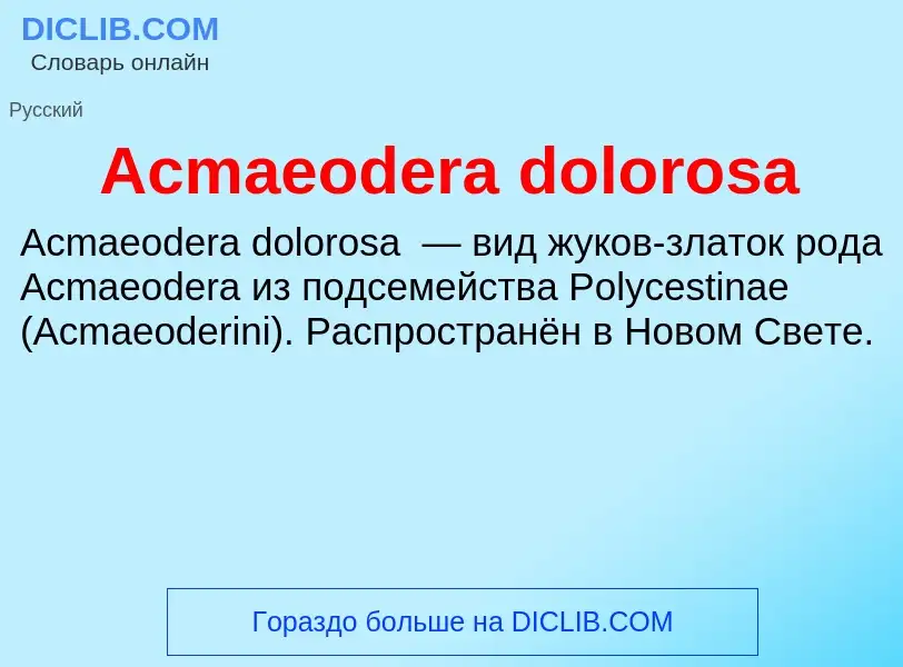 Τι είναι Acmaeodera dolorosa - ορισμός