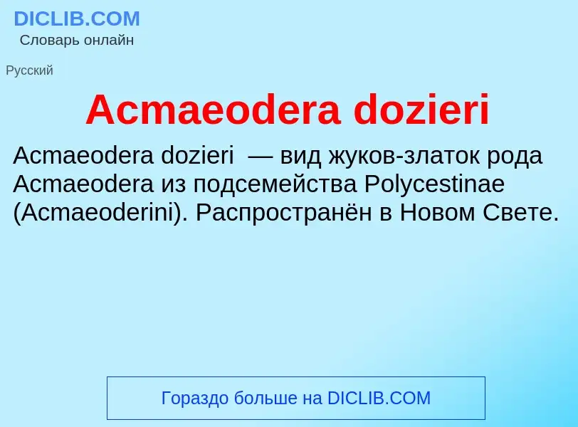 Τι είναι Acmaeodera dozieri - ορισμός