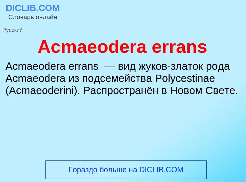 Τι είναι Acmaeodera errans - ορισμός