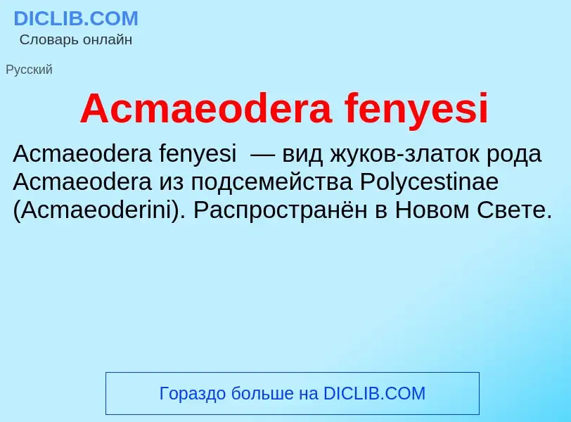 Τι είναι Acmaeodera fenyesi - ορισμός