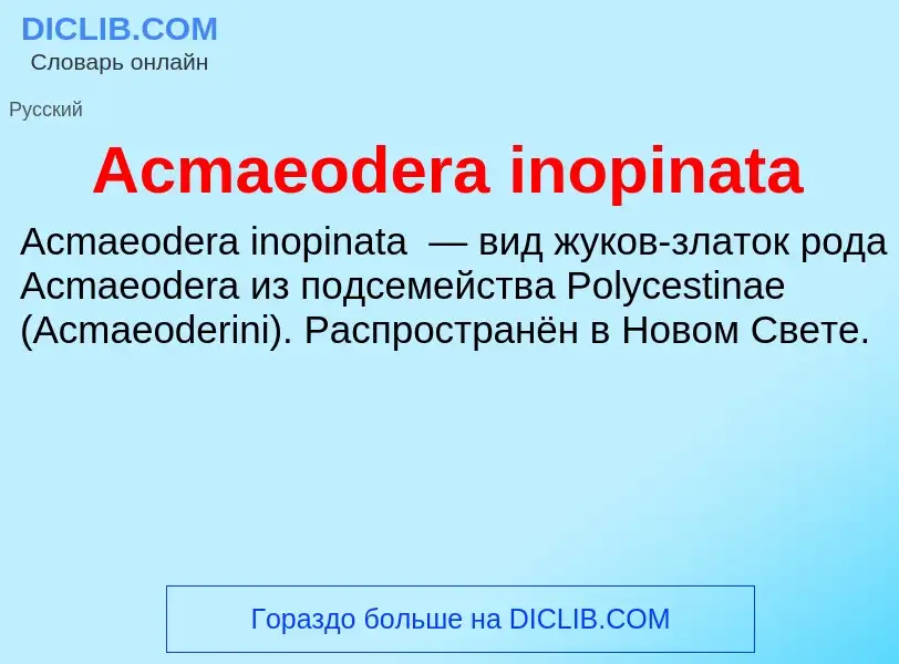 Τι είναι Acmaeodera inopinata - ορισμός