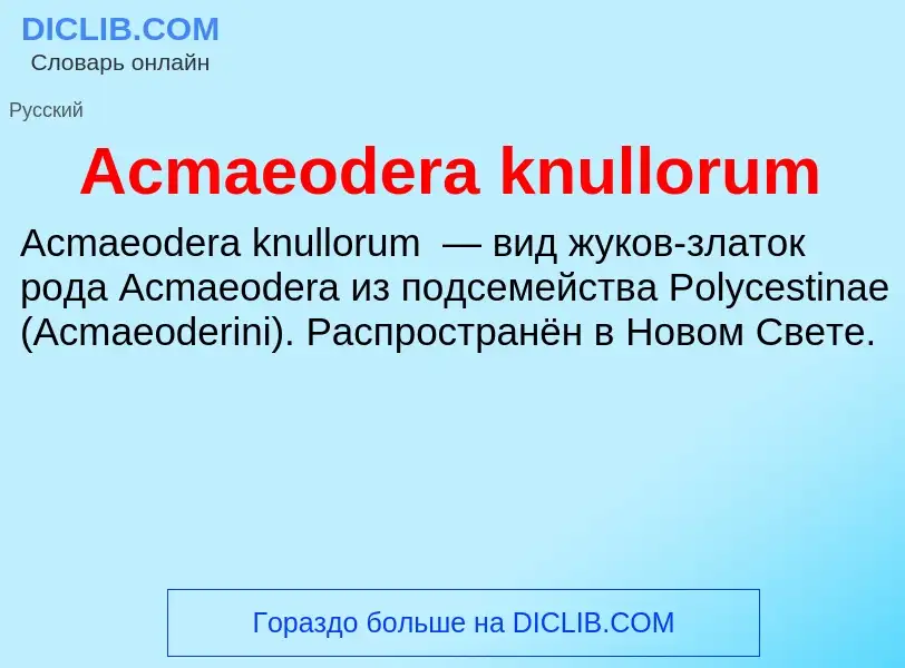 Τι είναι Acmaeodera knullorum - ορισμός