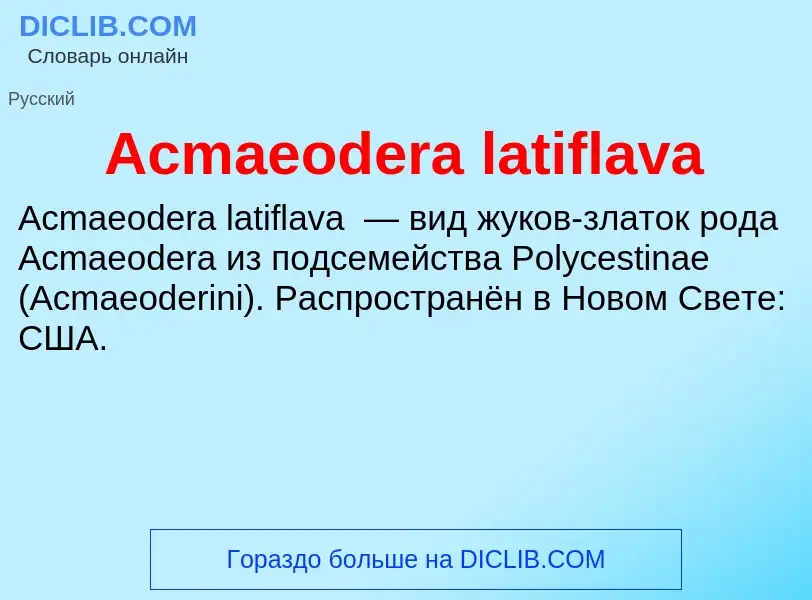 Τι είναι Acmaeodera latiflava - ορισμός