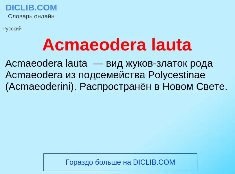 Τι είναι Acmaeodera lauta - ορισμός