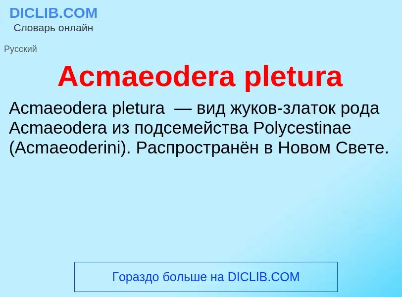 Τι είναι Acmaeodera pletura - ορισμός