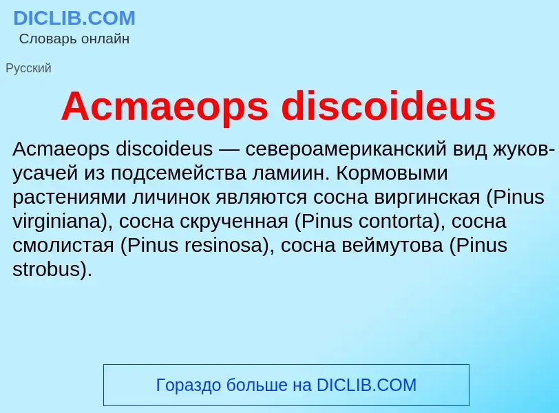 Τι είναι Acmaeops discoideus - ορισμός