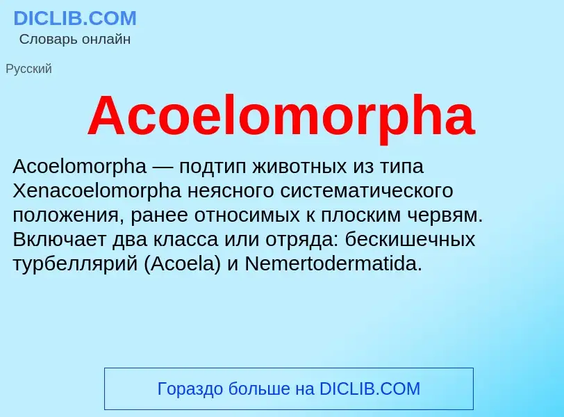 Τι είναι Acoelomorpha - ορισμός