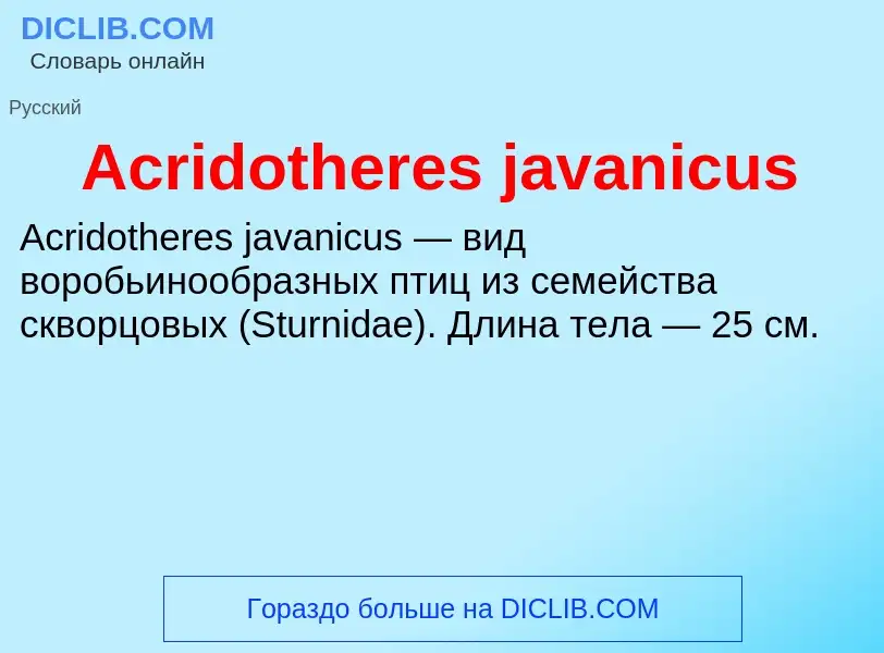 Τι είναι Acridotheres javanicus - ορισμός