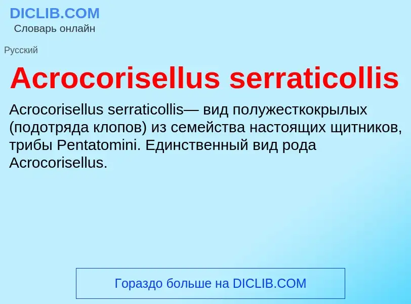 Τι είναι Acrocorisellus serraticollis - ορισμός