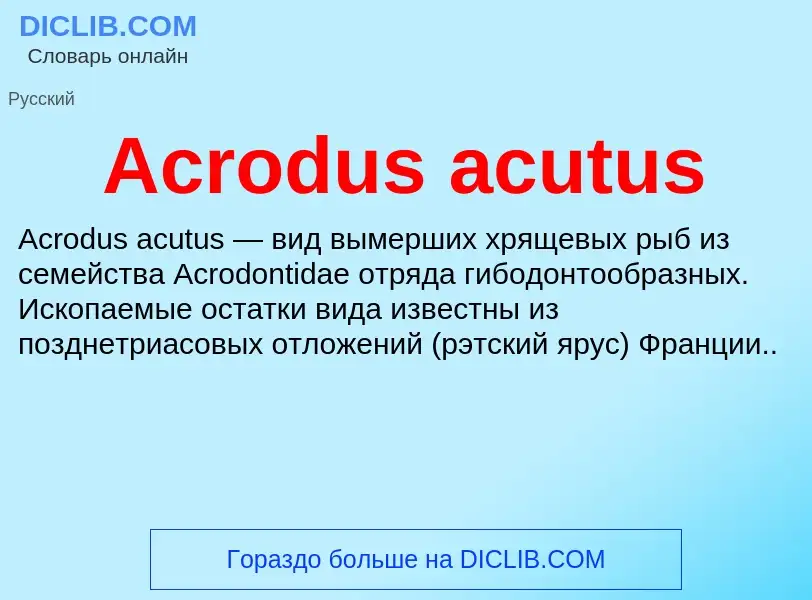 Τι είναι Acrodus acutus - ορισμός