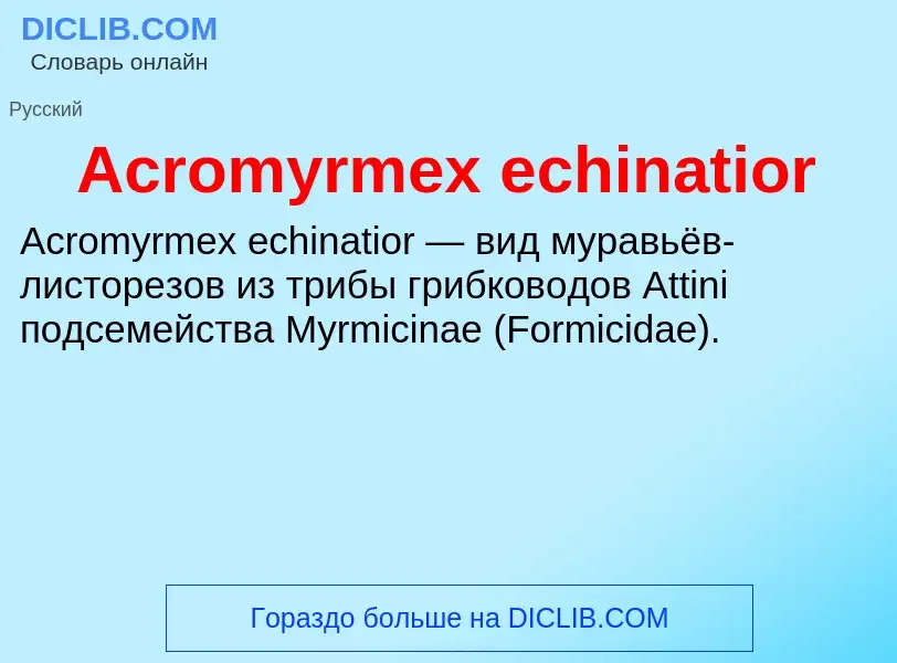 Τι είναι Acromyrmex echinatior - ορισμός