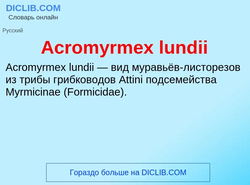 Τι είναι Acromyrmex lundii - ορισμός