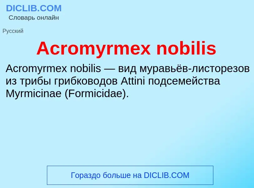 Τι είναι Acromyrmex nobilis - ορισμός