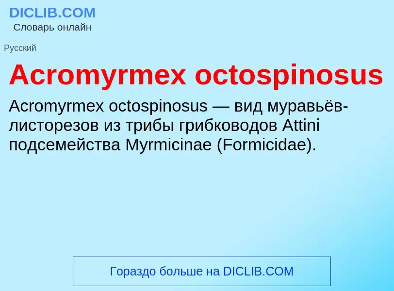 Τι είναι Acromyrmex octospinosus - ορισμός