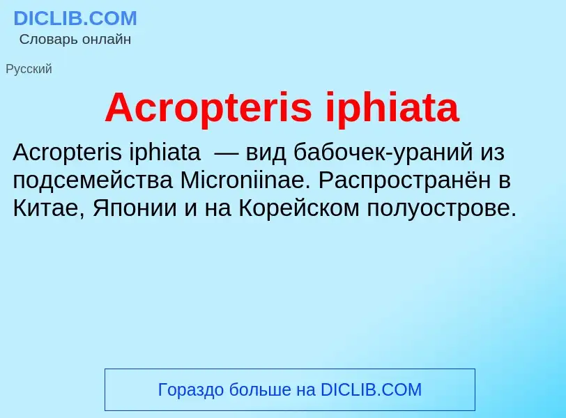 Τι είναι Acropteris iphiata - ορισμός