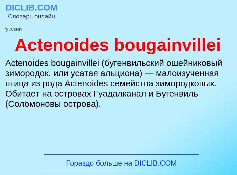 Τι είναι Actenoides bougainvillei - ορισμός