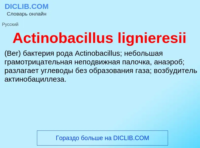 Τι είναι Actinobacillus lignieresii  - ορισμός