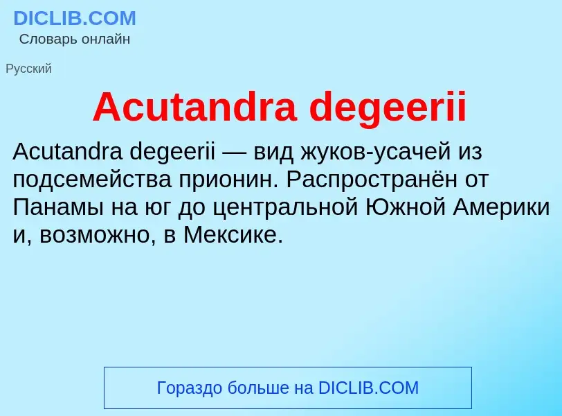 Τι είναι Acutandra degeerii - ορισμός