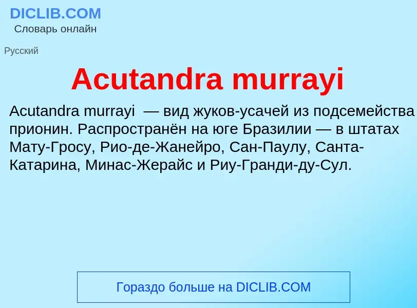 Τι είναι Acutandra murrayi - ορισμός