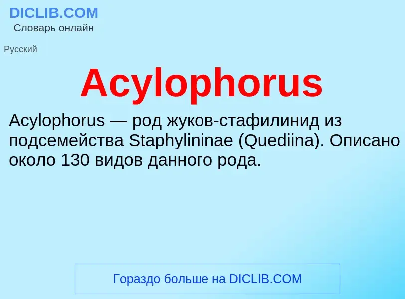 Τι είναι Acylophorus - ορισμός