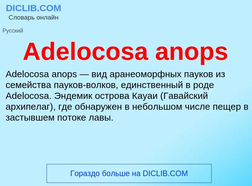 Τι είναι Adelocosa anops - ορισμός