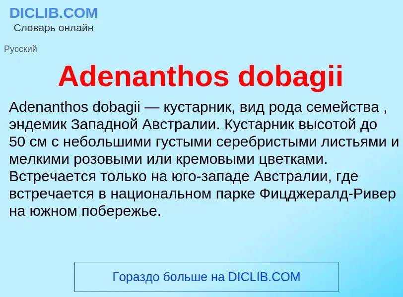 Τι είναι Adenanthos dobagii - ορισμός