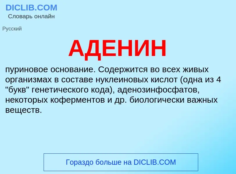 Wat is АДЕНИН - definition