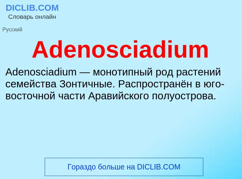 Τι είναι Adenosciadium - ορισμός