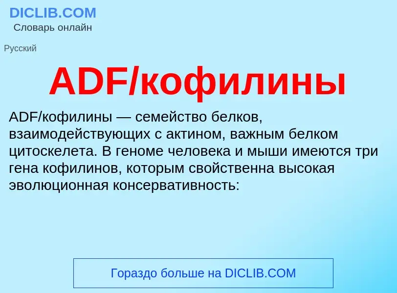 ¿Qué es ADF/кофилины? - significado y definición