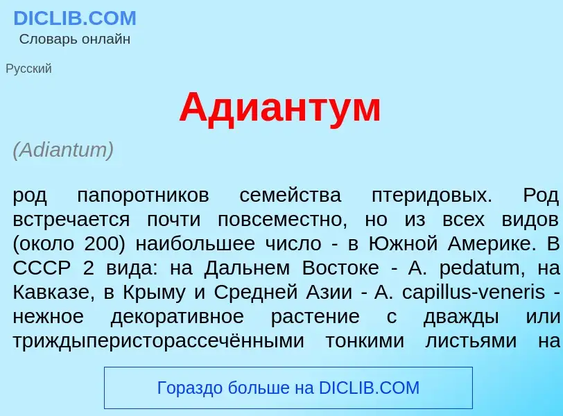 What is Ади<font color="red">а</font>нтум - definition