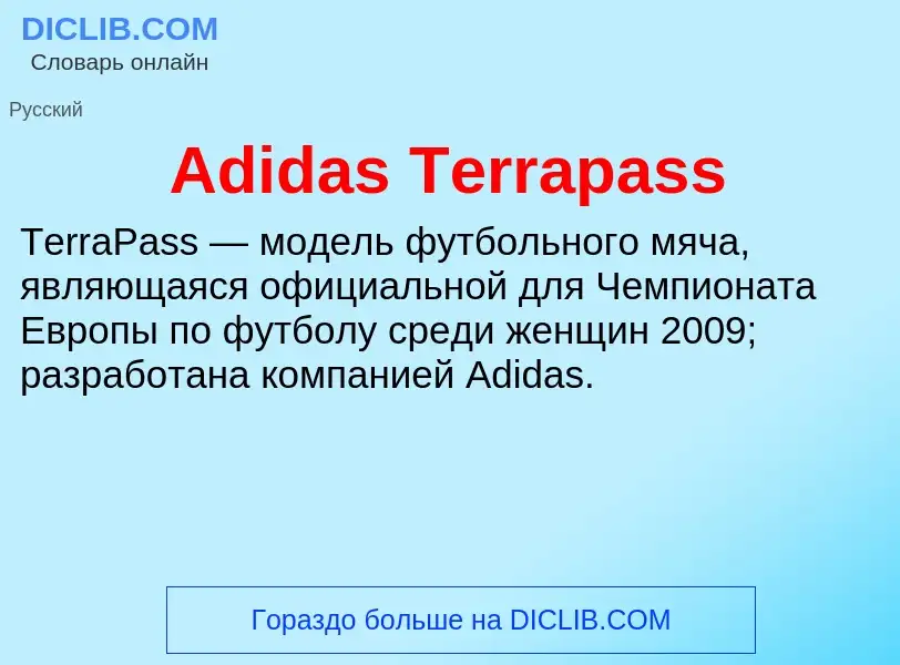 Τι είναι Adidas Terrapass - ορισμός