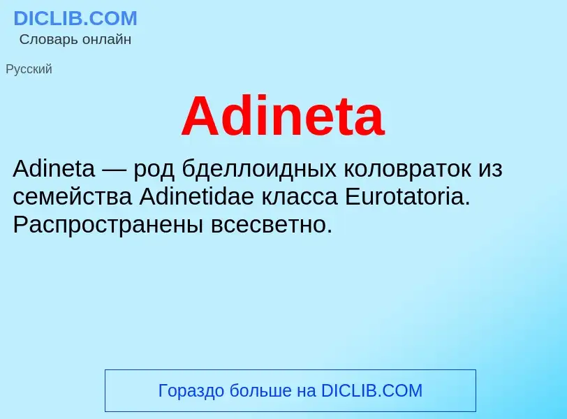 Τι είναι Adineta - ορισμός