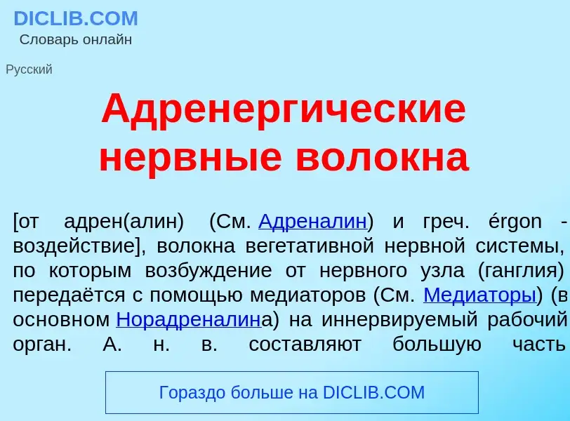 O que é Адренерг<font color="red">и</font>ческие н<font color="red">е</font>рвные вол<font color="re