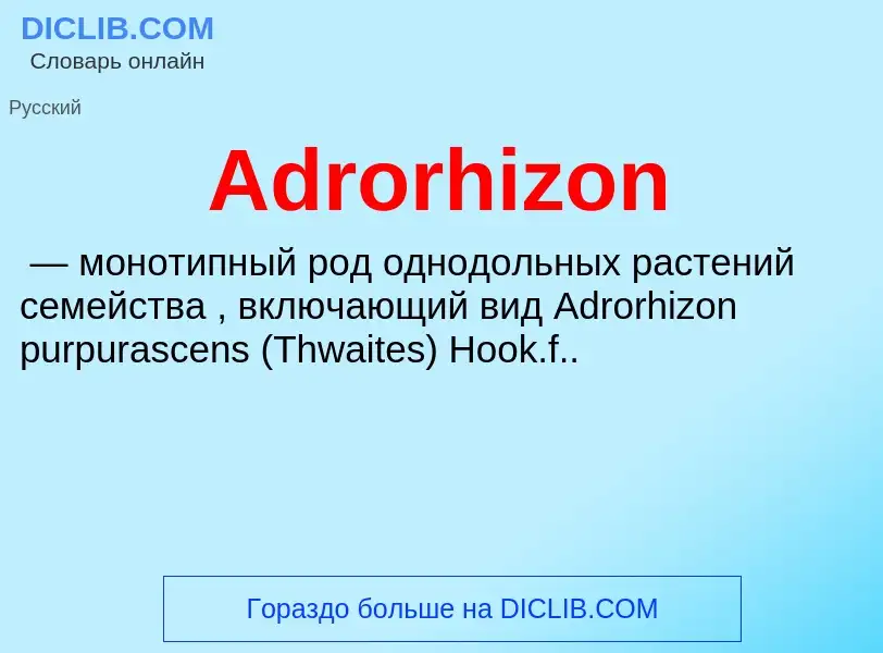 Τι είναι Adrorhizon - ορισμός