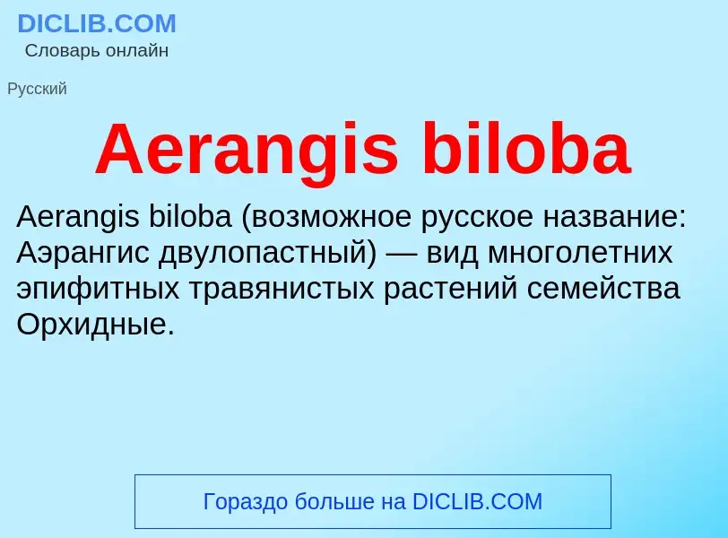 Τι είναι Aerangis biloba - ορισμός