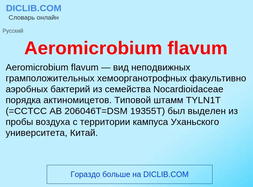 Τι είναι Aeromicrobium flavum - ορισμός