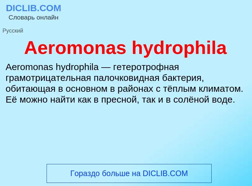 Τι είναι Aeromonas hydrophila - ορισμός